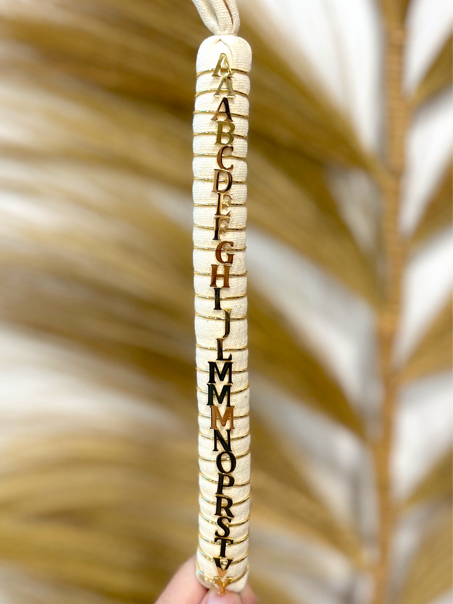 Anillo Inicial