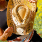 Sombrero ALMA Cowboy